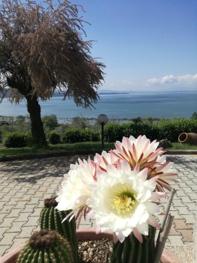 B&B Torre Del Lago Trasimeno Passignano sul Trasimeno Luaran gambar