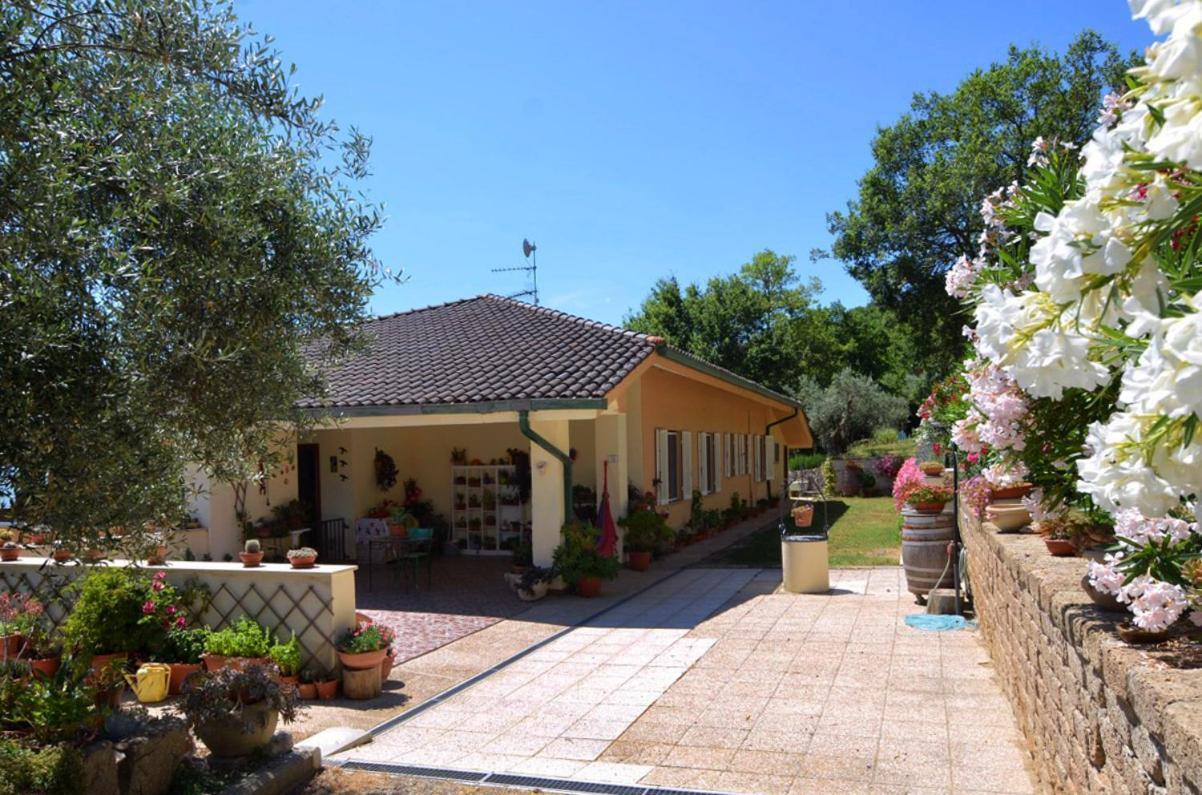 B&B Torre Del Lago Trasimeno Passignano sul Trasimeno Luaran gambar